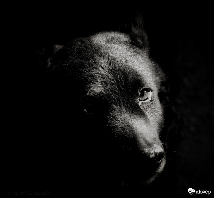 Fenyjáték fekete fehérben egy cuki modellel ☺️☺️☺️