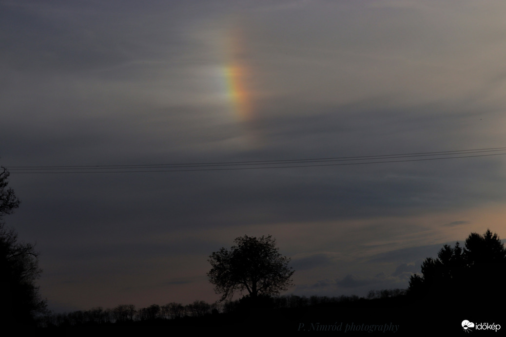 Szivárványfolt a fa felett, avagy a mai rendkívül éles melléknap ☺️
