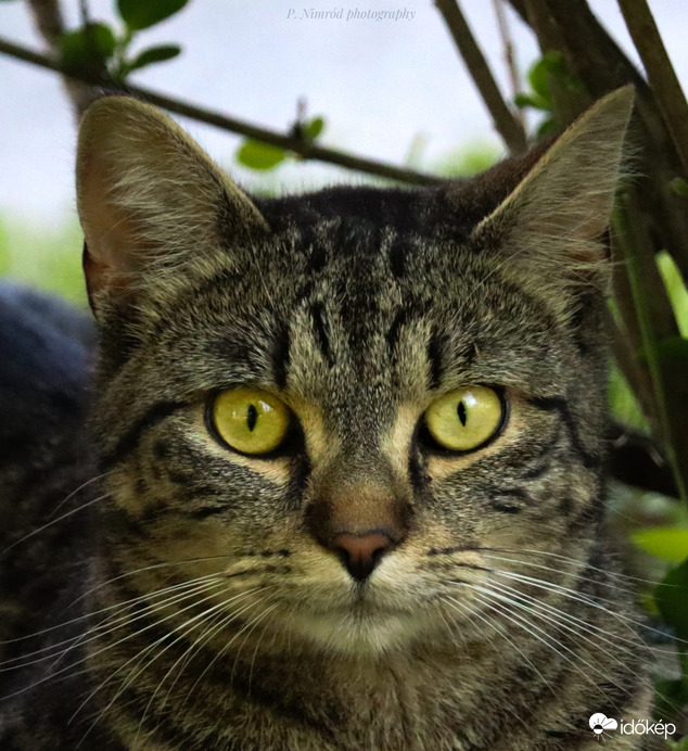 Jaj, ezek a szemek ☺️☺️