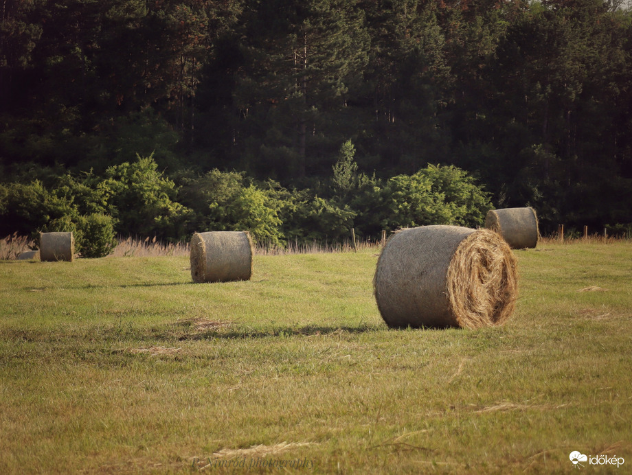 Megkezdődött a bálázás ☺️