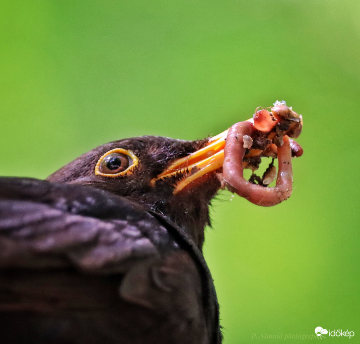 Itt az ebéd ☺️☺️