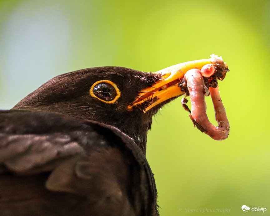 Itt az ebéd ☺️☺️