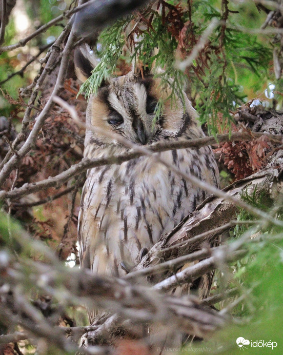 Hétfő reggel a kávé előtt...