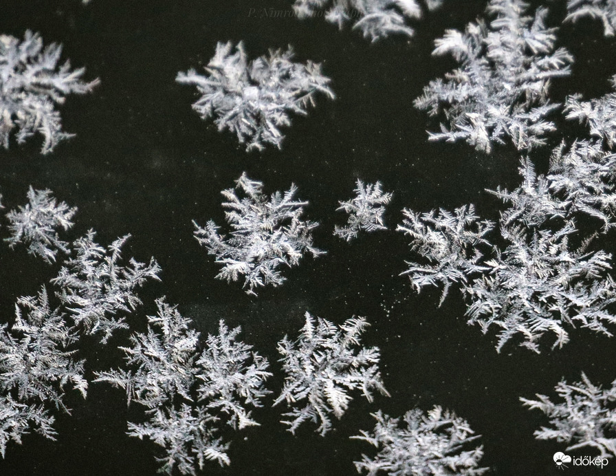 Jégvirágok 