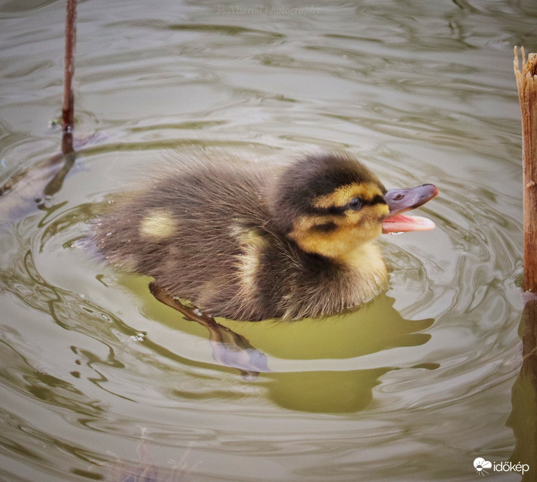 Megszülettem ☺️