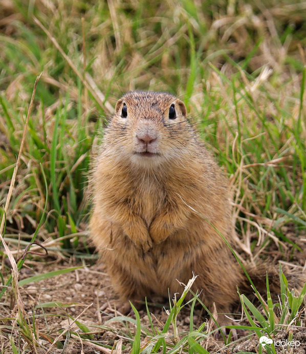 Hoztál nekem is valamit? :))