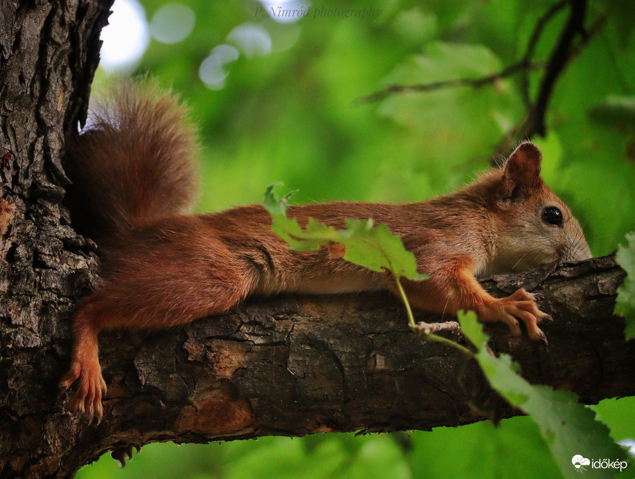 Elbújtam, mostmár nem látsz :D 