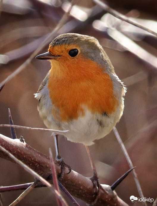 Melyik az előnyösebb oldalam? ☺️