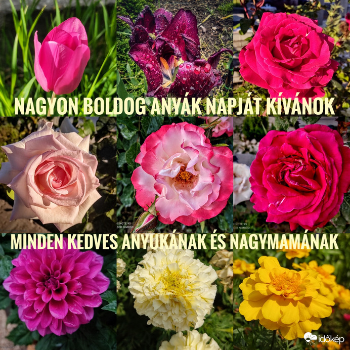 Nagyon Boldog Anyák Napját Kívánok Minden Kedves Anyukának és Nagymamának ❤️