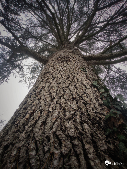 Kicsit más szemszögből ☺️