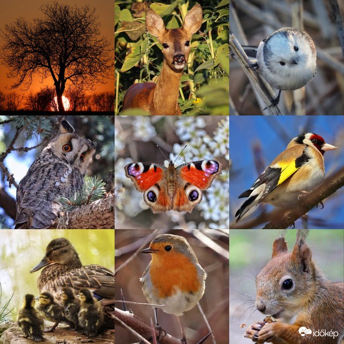 Augusztus 19. A fotózás világnapjára (utólag)