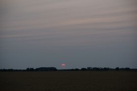 Lemenő nap & poros színek