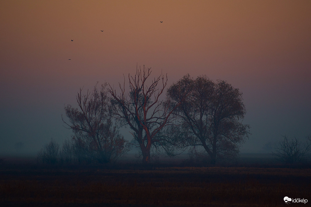 Őszi, ködös reggel Dévaványán