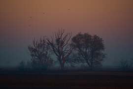 Őszi, ködös reggel Dévaványán