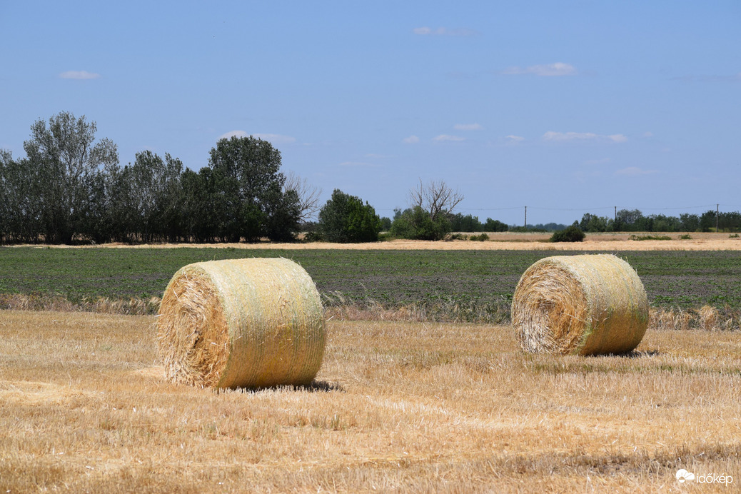 Tegnap délelőtt Dévaványán