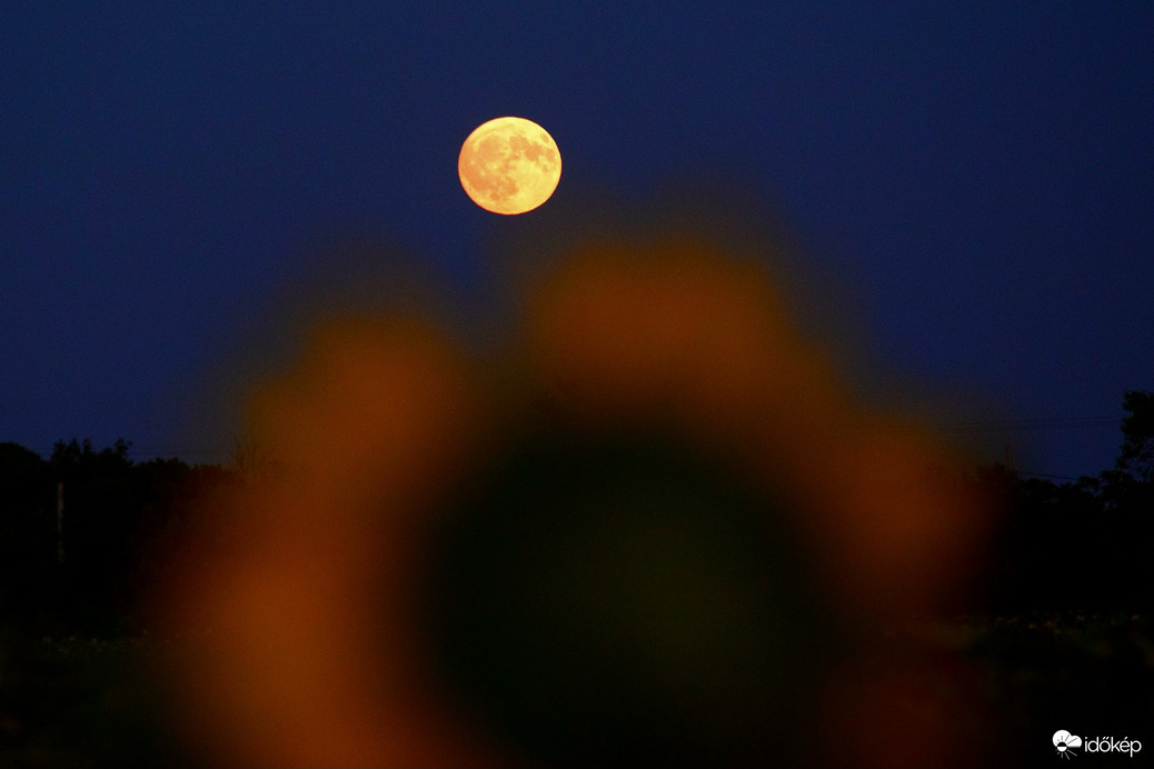 Telihold előtti holdkelte Dévaványán
