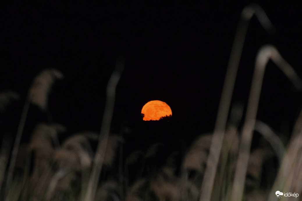 Tegnap esti holdkelte 1