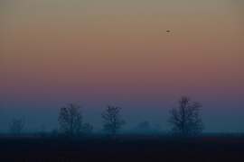 Őszi, ködös reggel Dévaványán