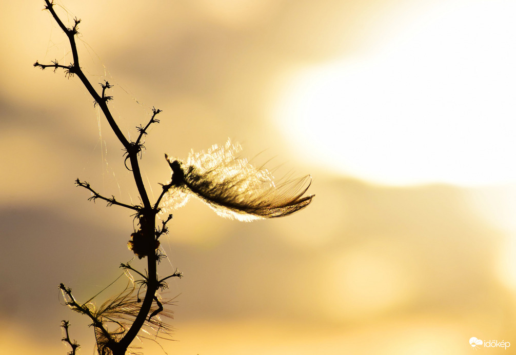 Naplemente előtti pillanatok  :-)