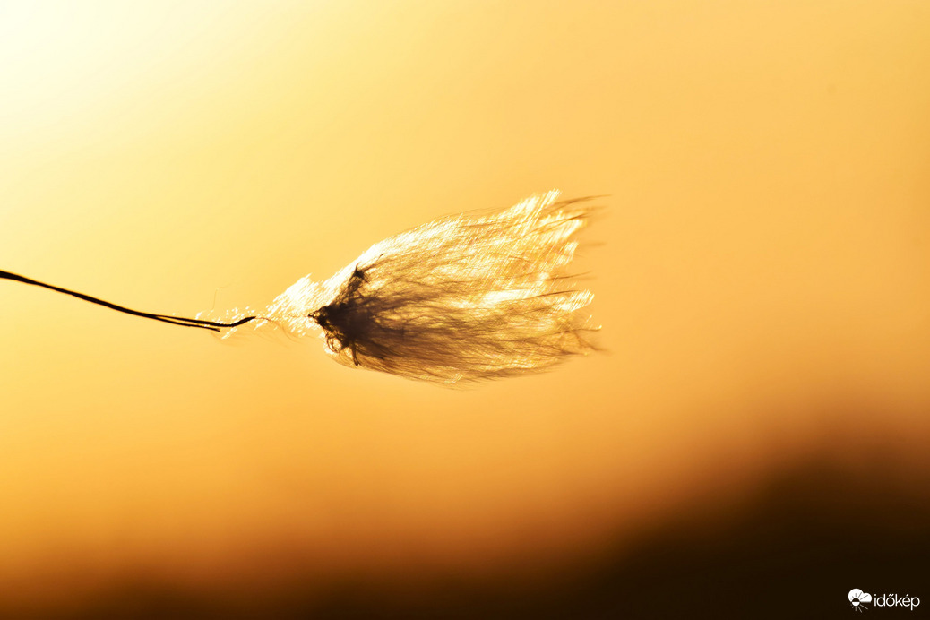 Naplemente előtti pillanatok  :-)