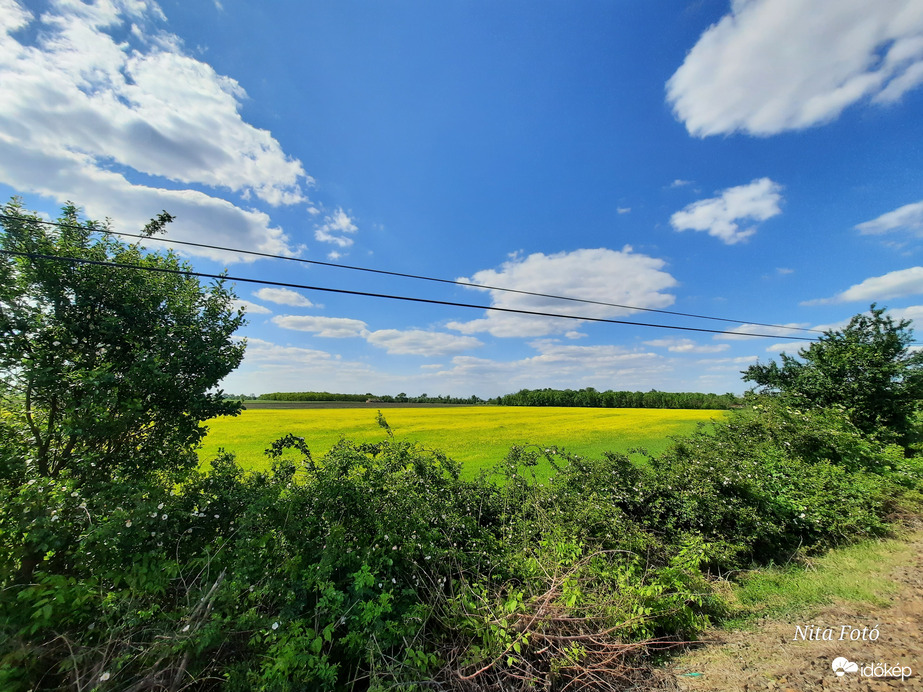 Repcemező Dévaványa határában 1