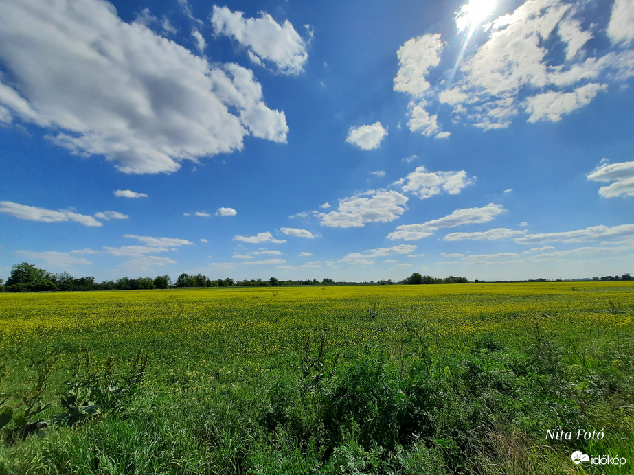 Repcemező Dévaványa határában 3