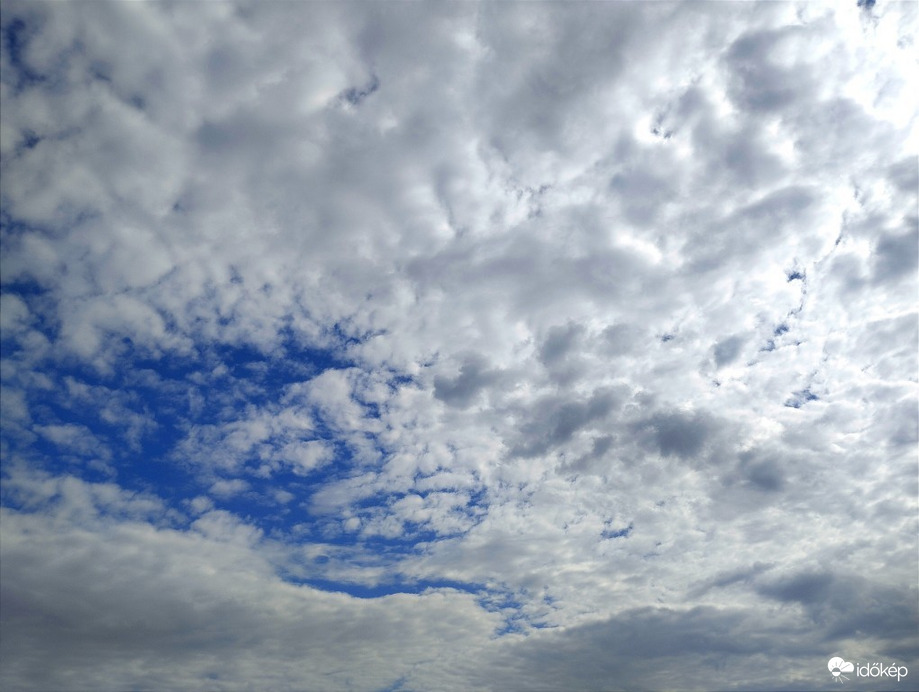 Hódmezővásárhely