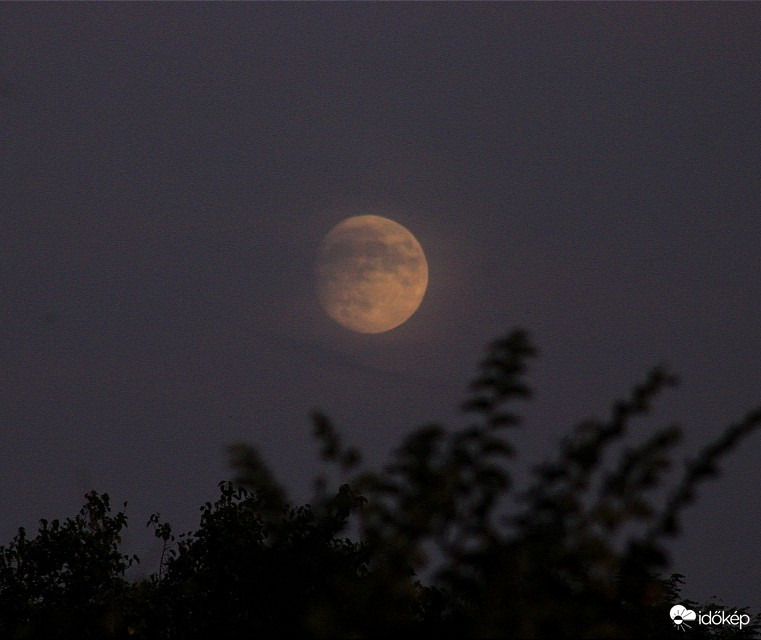 Hódmezővásárhely