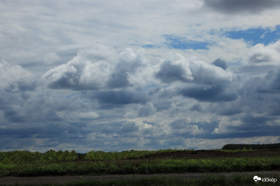 Hódmezővásárhely