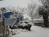 Tárkány