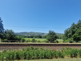 Uzsa