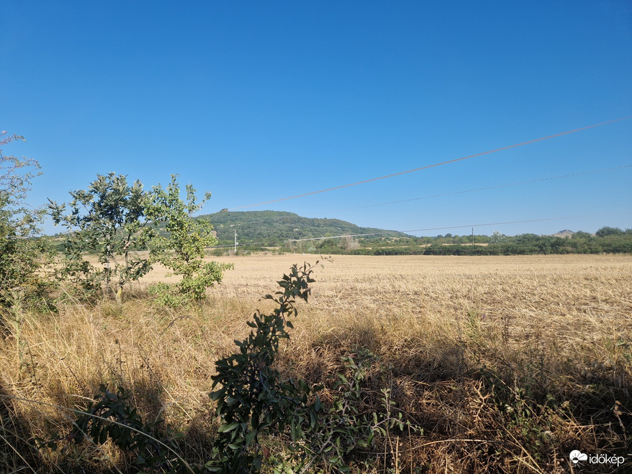 Sáska