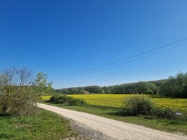 Sitke