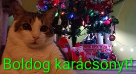 Budapest X.ker - Téglagyárdűlő