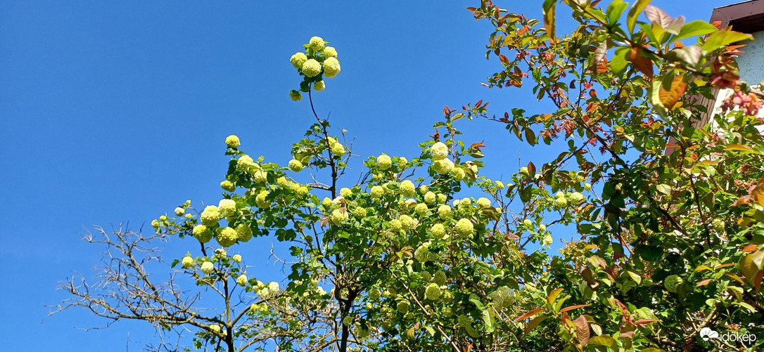 Felsőzsolca
