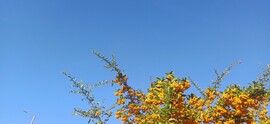 Felsőzsolca