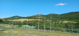Baskó