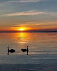 Balatonfüred