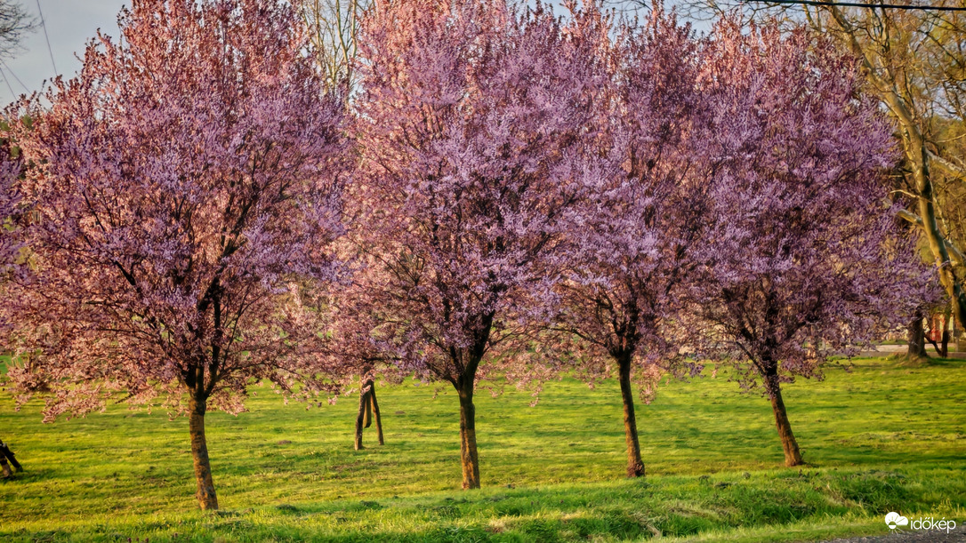 Gyönyörű ruhàban