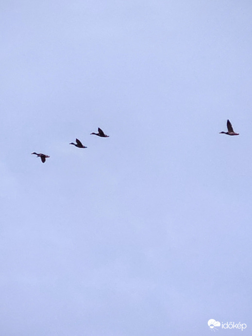 Repülèsi technikàk.