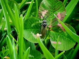 Hopp,èn is itt vagyok màr.