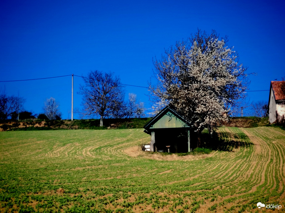 Tavaszi panoràma