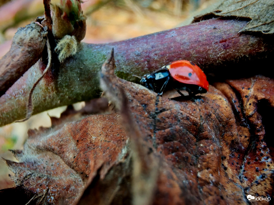 Keresek másik helyet. 