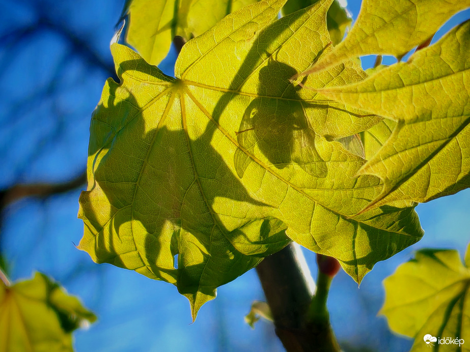 Van odaàt valaki....