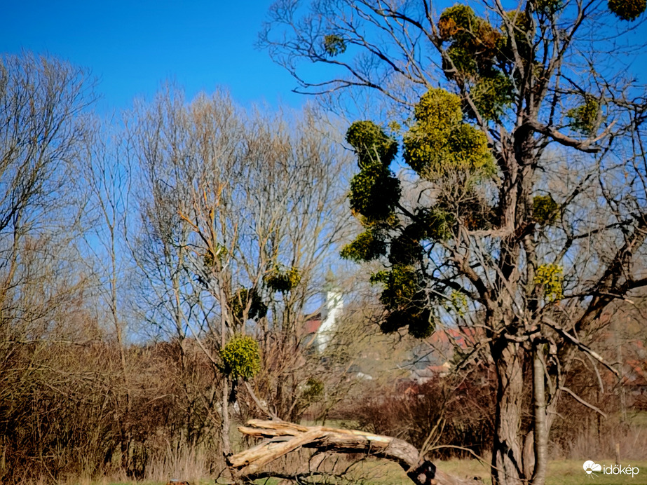 Bakonycsernyei panoráma