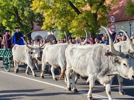 Hortobàgy