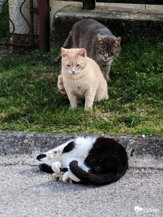 Alpinisták egy része... 