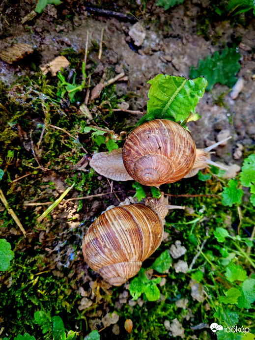 Talàlkozàs