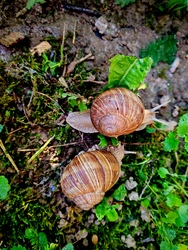 Talàlkozàs
