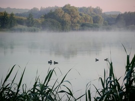 Ködben